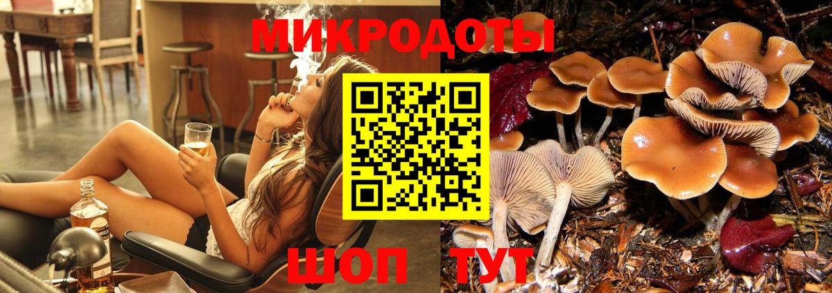 Галлюциногенные грибы GOLDEN TEACHER Гусь-Хрустальный