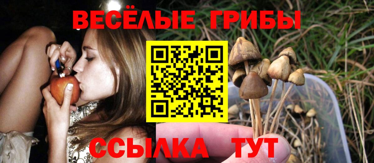 Галлюциногенные грибы прущие грибы  Галлюциногенные грибы Cubensis  Вход с VPN  цены   Гусь-Хрустальный 